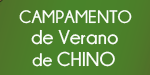 Campamento de Verano de Chino Spanish Up